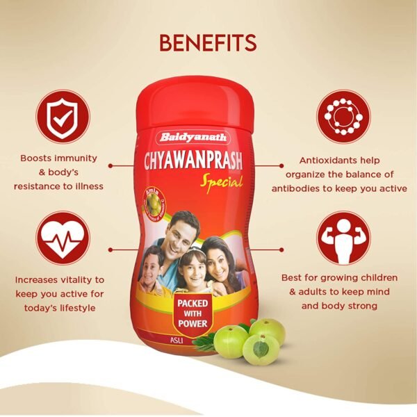 chavanprash baidyanath, ayurvedic chavanprash, herbal chyawanprash, herbichem.com, healthy immunity booster for men women children