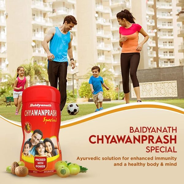 chavanprash baidyanath, ayurvedic chavanprash, herbal chyawanprash, herbichem.com, healthy immunity booster for men women children